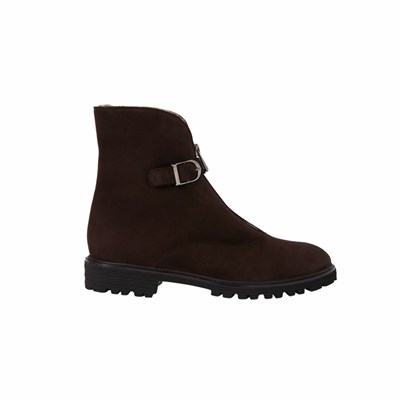 Brunate Lambskin Fodrade Klassiska Platta Skor Dam Bruna | AFL-956123