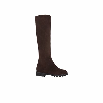 Brunate Sportiga Stretch Boot Knähöga Stövlar Dam Bruna | NDU-509871