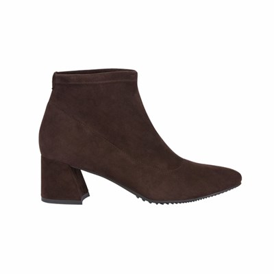 Brunate Stretch Booty Ankelboots Dam Bruna | ABS-940135