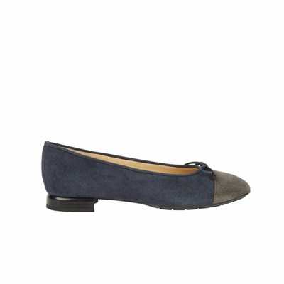 Brunate Two Toned Platta Shoes Platta Skor Dam Marinblå | MSZ-958471
